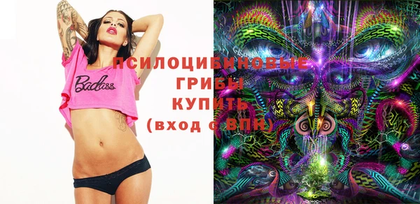 spice Мегион